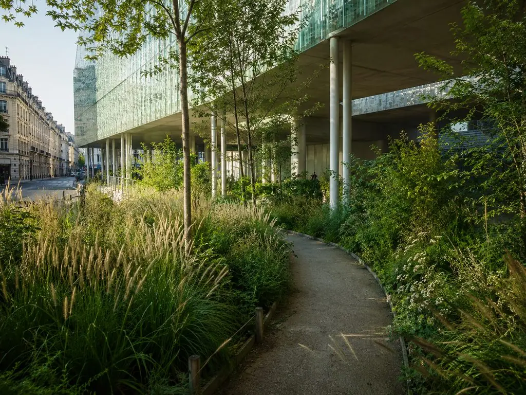Gilles Clément’s garden under the museum, seen from the path